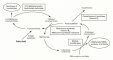 Folate-Homocysteine cycle
